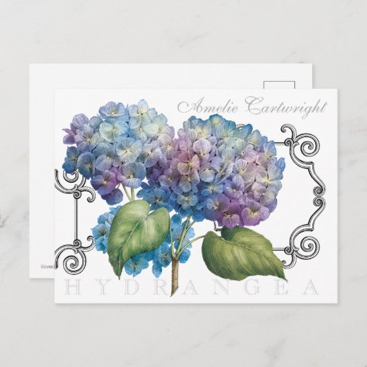 Blauer Hydrangea Mit Monogramm Name Postkarte (Vorne/Hinten)