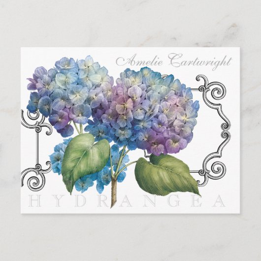 Blauer Hydrangea Mit Monogramm Name Postkarte (Vorderseite)