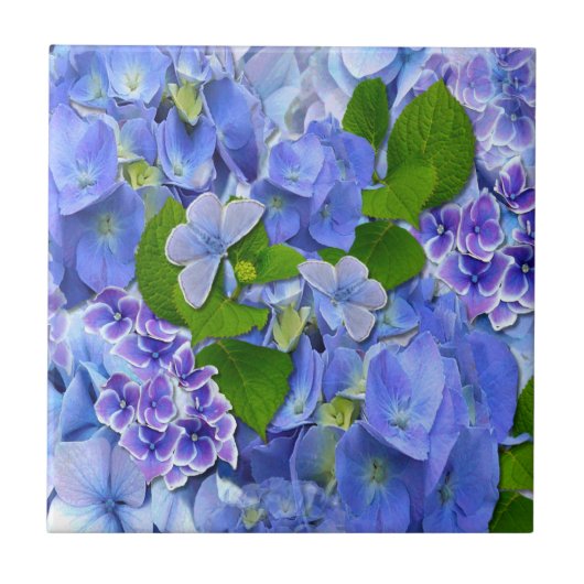 Blauer Hydrangeas und Schmetterlinge Fliese (Vorderseite)