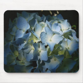 Blauer Hydrangee Blume Floral Blume Foto Mousepad