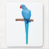 Blauer Inder Ringneck Parrakeet Mousepad (Vorne)