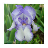 Blauer Iris Fliese (Vorderseite)