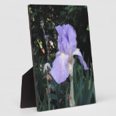Blauer Iris Fotoplatte (Seite)