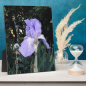 Blauer Iris Fotoplatte (Seite)