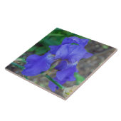 Blauer Iris-Keramik Fliese (Seite)