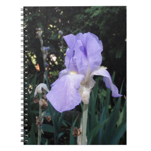 Blauer Iris Notizblock (Vorderseite)