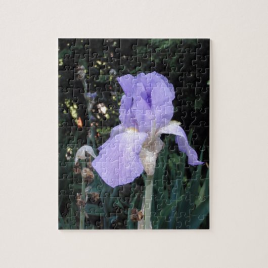 Blauer Iris Puzzle (Vertikal)