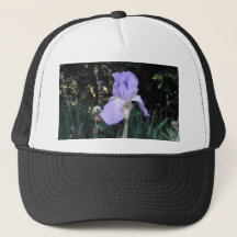 Blauer Iris