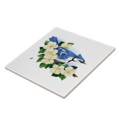 Blauer Jay Fliese (Seite)