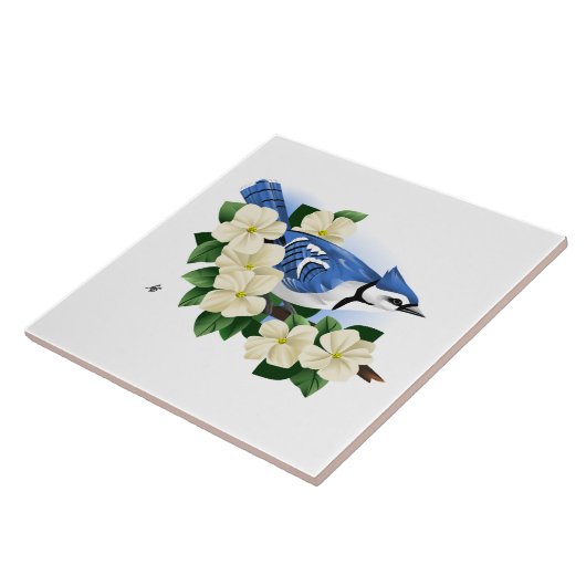 Blauer Jay Fliese (Seite)