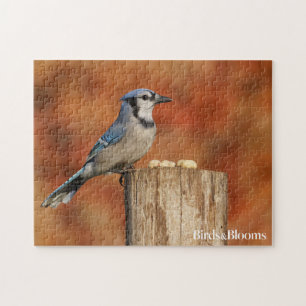 Blauer Jay Puzzle