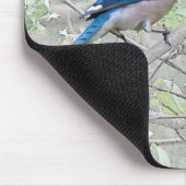 Blauer Jay-Singvogel Mousepad (Ecke)