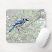 Blauer Jay-Singvogel Mousepad (Mit Mouse)