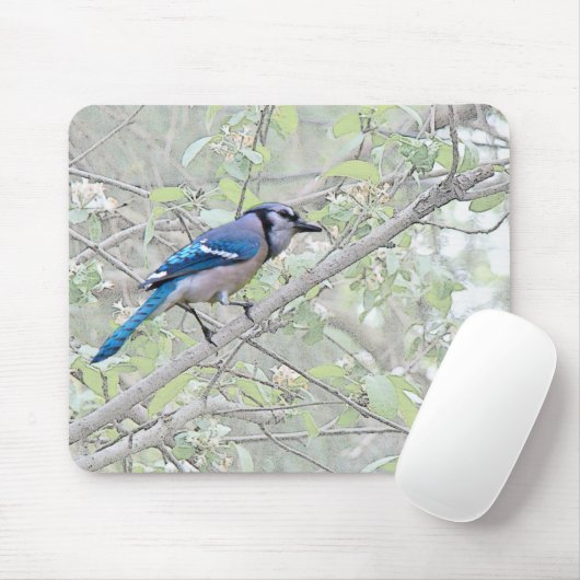 Blauer Jay-Singvogel Mousepad (Mit Mouse)