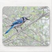 Blauer Jay-Singvogel Mousepad (Vorne)