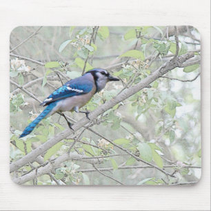 Blauer Jay-Singvogel Mousepad
