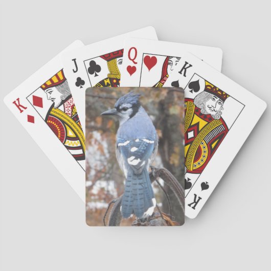 Blauer Jay Spielkarten (Rückseite)