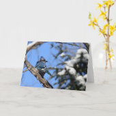 Blauer Jay-Vogel in der Karte (Gelbe Blume)