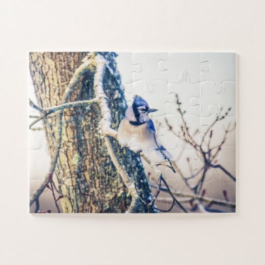 Blauer Jay-Vogel-Oversifikation Puzzle (Horizontal)
