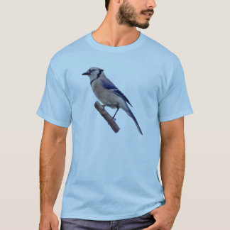 Blauer Jay-Vogel T-Shirt