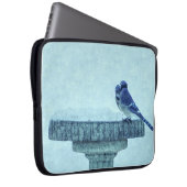 Blauer Jay Winter Füttre schmerzhaft Laptopschutzhülle (Vorne Rechts)
