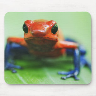 Blauer Jean-Frosch Mousepad