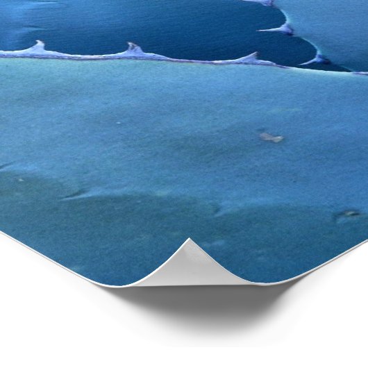 Blauer Kaktus Poster (Ecke)