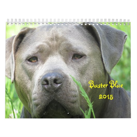 Blauer Kalender (Titelbild)