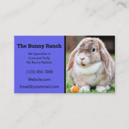 Blauer Kaninchenzucht Visitenkarte