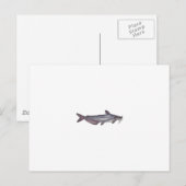 Blauer Katfisch (ohne Titel) Postkarte (Vorne/Hinten)