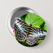 Blauer Klappknopf Button (Vorne & Hinten)