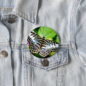 Blauer Klappknopf Button (Beispiel)