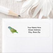 Blauer Kopf Pionus Parrot (Insitu)