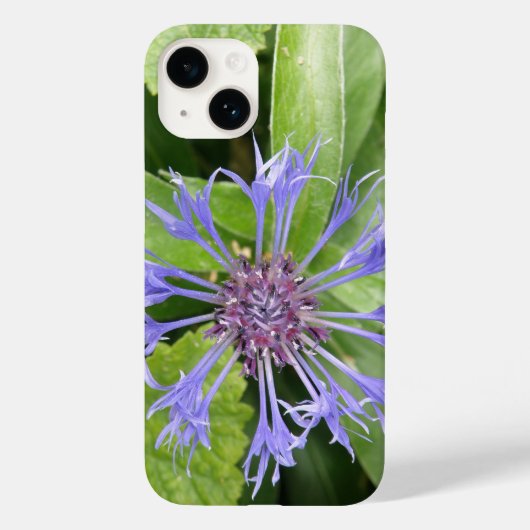 Blauer Kornblume Case-Mate iPhone Hülle (Rückseite)