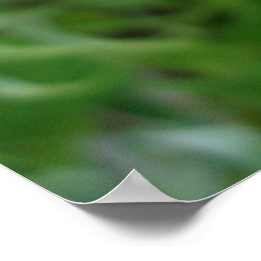 Blauer Kornblume Poster (Ecke)