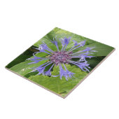 Blauer Kornblume Tile Fliese (Seite)