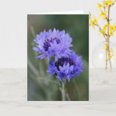 Blauer Kornblumen Karte (Gelbe Blume)