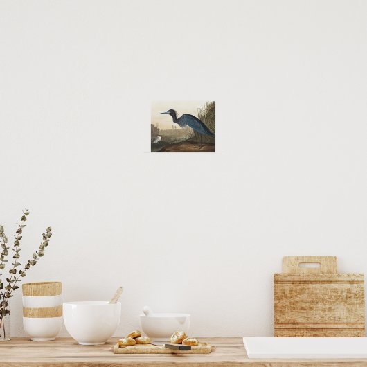 Blauer Kranich oder Heron von Vögeln Amerikas Poster (Küche)