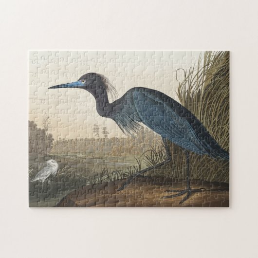 Blauer Kranich oder Heron von Vögeln Amerikas Puzzle (Horizontal)