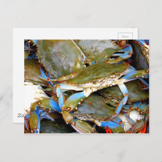 Blauer Krebs Postkarte (Vorne/Hinten)