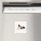 Blauer Lärm Magnet (In Situ (Geschirrspüler))