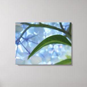 Blauer Leinwand Drucke Hydrangea Blumengarten