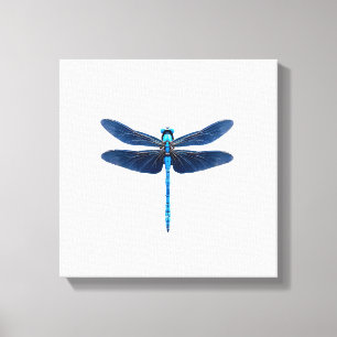 Blauer Libellen - Insekten-Wildtier-Tierliebhaber Leinwanddruck