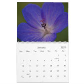 Blauer lila rosa Kalender der Blumen-2010 (Jan 2027)