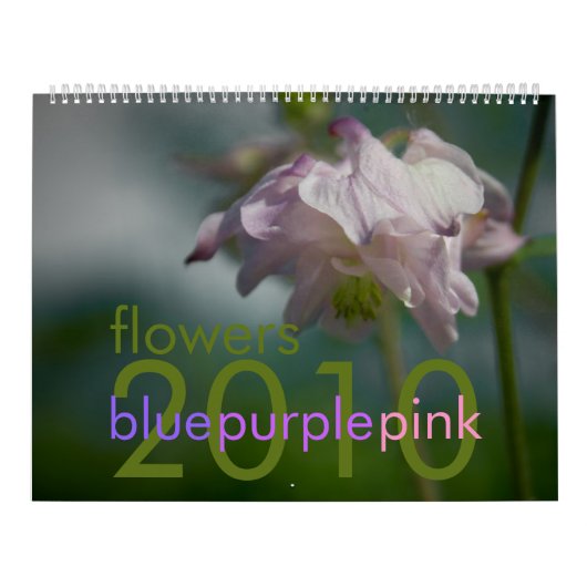 Blauer lila rosa Kalender der Blumen-2010 (Titelbild)