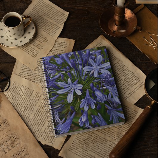 Blauer Lilie des Nils Agapanthus Notizblock