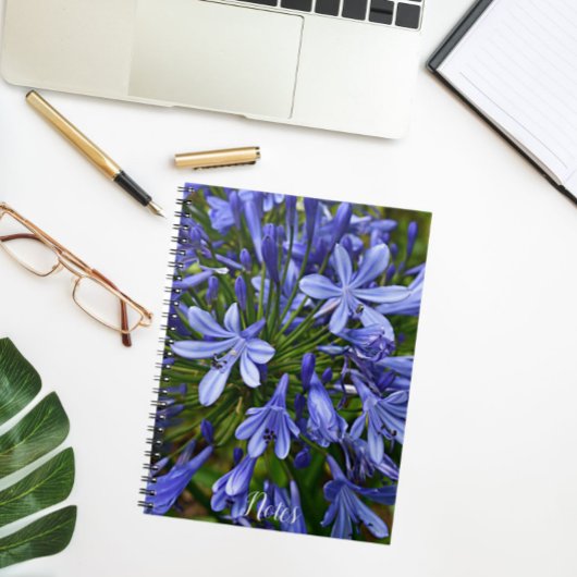 Blauer Lilie des Nils Agapanthus Notizblock