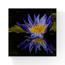 Blauer Lilie Paperweight