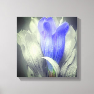 Blauer Linsen Blume teilweise Farbe Leinwanddruck