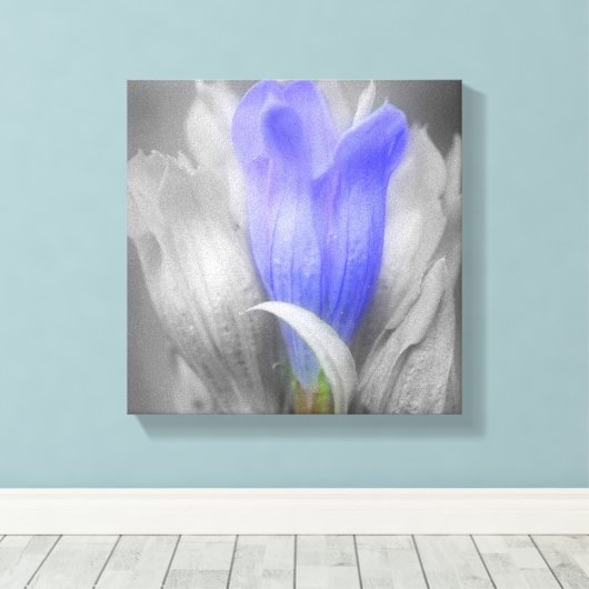 Blauer Linsen Blume teilweise Farbe Leinwanddruck (Insitu (Holzboden))